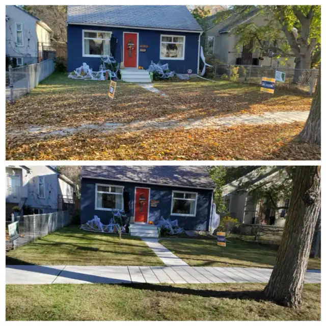 FALL CLEANUP • OVERGROWN YARD586457737531248641