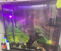 37 Gallon Aquarium For Sale