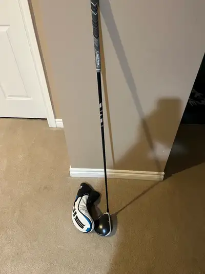 RH Taylor Made SIM2 max driver, View more