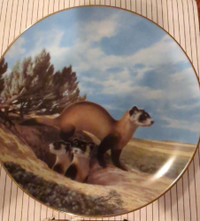 W.L. George Collectors Plate - The Black Footed Ferret Plate