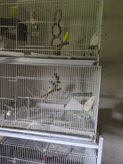 stacking cage, View more