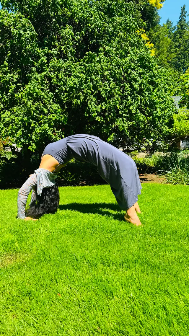 Yoga Classes Ottawa — All Levels Welcome