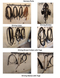 Harness parts and Accessories