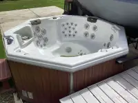 Free Spa, needs to be refurbished or used for parts