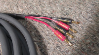Ultralink bi wire speaker cable pair