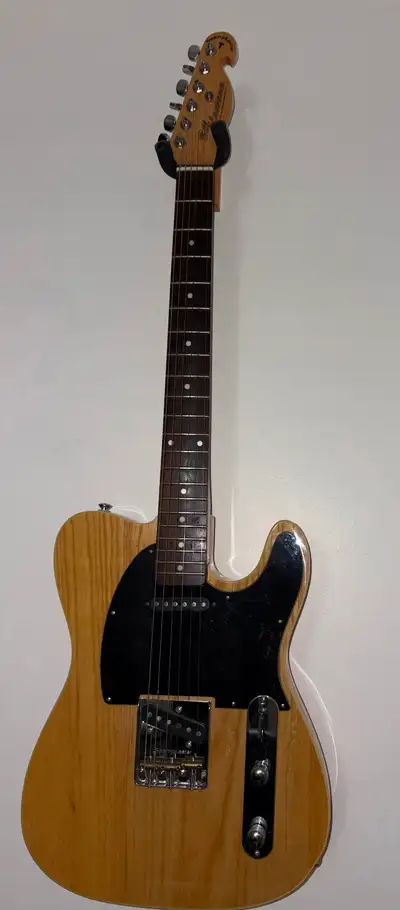 Bill Lawrence Swampcaster, View more
