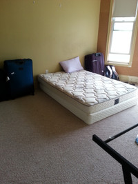 ST. CLAIR COLLEGE/ UNIVERSITY STUDENTS- ROOM FOR RENT