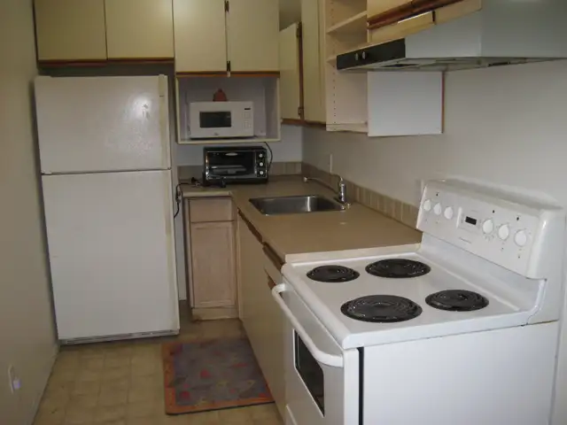 Rustic cabin for rent in Long Term Rentals in Parksville / Qualicum Beach - Image 4