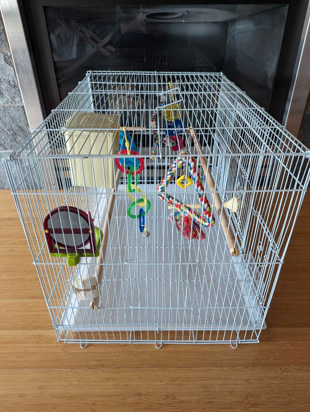 Bird cage in Birds for Rehoming in Delta/Surrey/Langley - Image 2