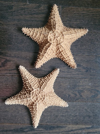 Star fish 9" and 8.5"