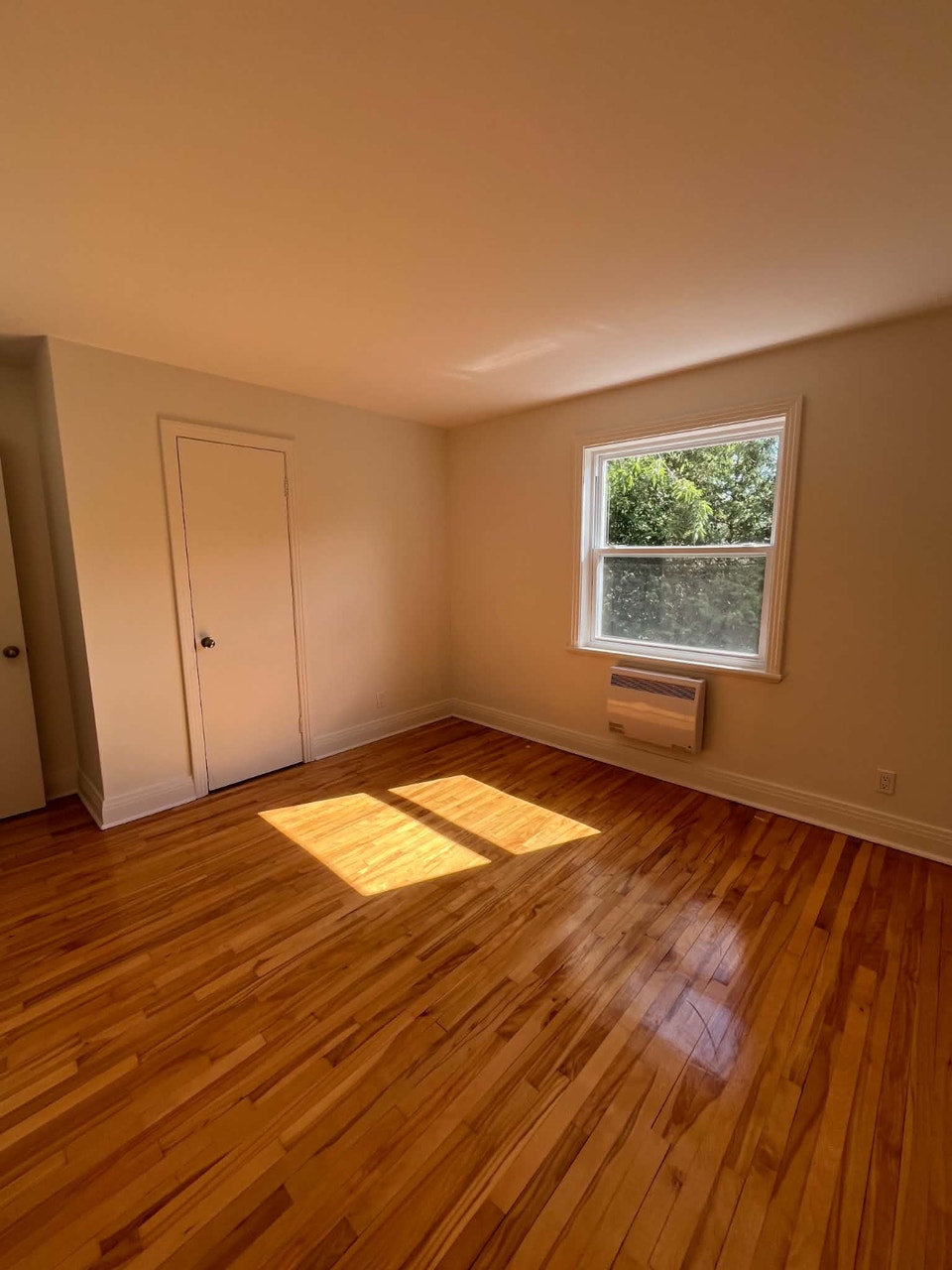 4 1/2 entièrement rénové et très ensoleillé, Vieux Longueuil 3