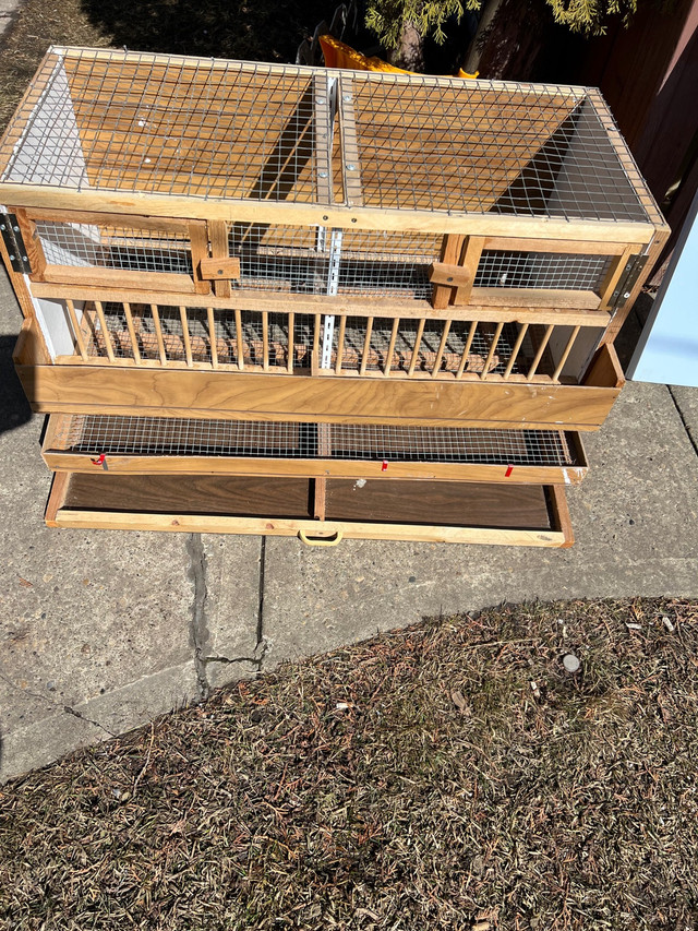 For sale cage for quails  in Animal & Pet Services in La Ronge - Image 2