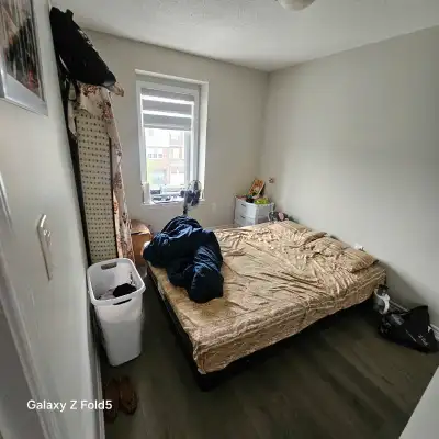 Room for Rent – Brampton (Mount Pleasant Area)