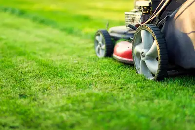 Landscaping Help Wanted, View more