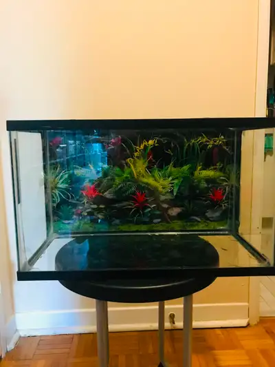 HI! I AM SELLING MY BEAUTIFUL LAMINATED FLORAL BACKGROUND EFFECT WITH MY 10 GALLON FISH/TERRAIN TANK...