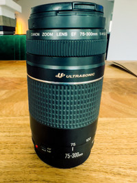 Canon EF 75-300mm F4-5.6 Zoom Lens