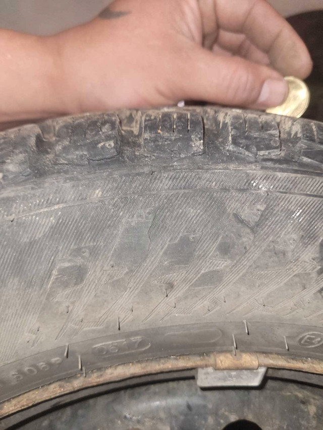 Studded tires in Tires & Rims in Edmonton - Image 2