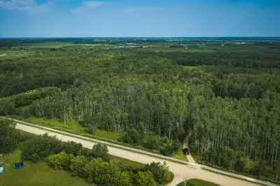 This expansive 6.45-acre property offers a beautiful, heavily treed landscape perfect for those seek...