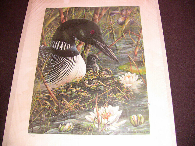 FOR SALE VERY NICE NATURE PICTURE (LOON PRINT) in Home Décor & Accents in Belleville - Image 2