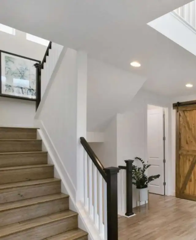 PROFESSIONAL OTTAWA PAINTER ! 613-262-372162863717645569124