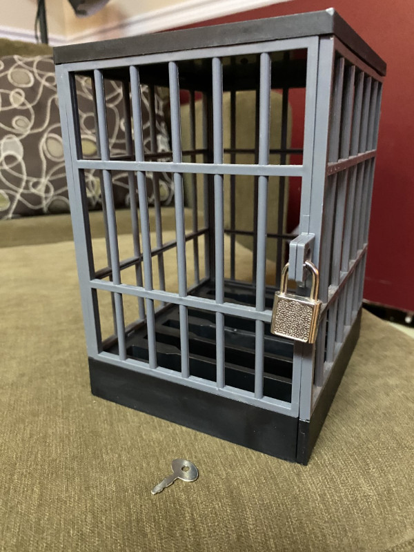 Mobile cell phone jail / cage (phone not included) in Cell Phone Accessories in Gatineau - Image 3