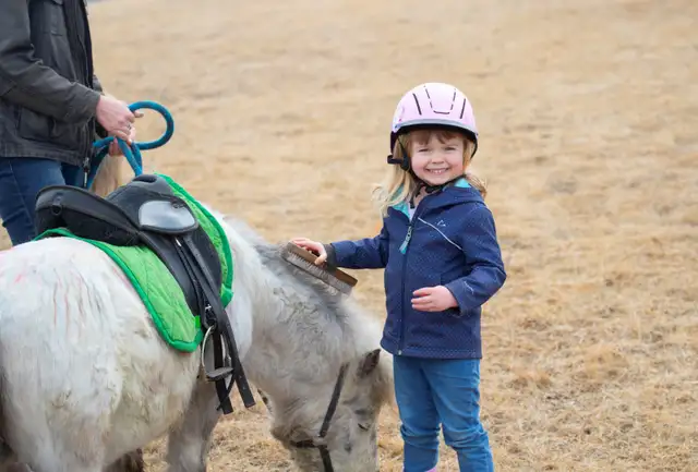 Horse & Ranch Summer Camp521231797354516482