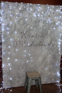 Birthday party Backdrop winter theme