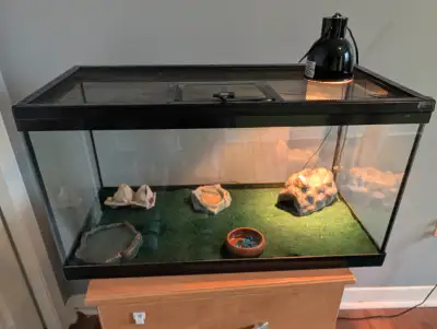 Cage, water pellets for crickets, light. Everything comes with. Asking $50 obo.