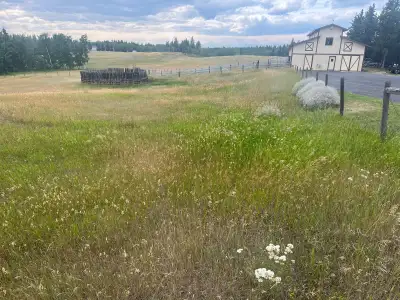 We have 16 acres with round pen, corrals and a large barn. Only interested in a long term renter. Th...