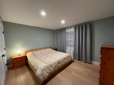 Open concept living room and kitchen with plenty of natural light throughout - New stainless applian...