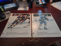 the best players of nhl colours photos lot of 10 dionne