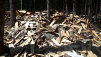 Firewood / Kindling