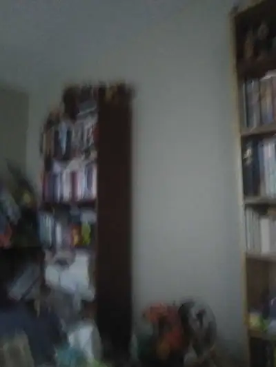 I do tutoring and house keeping , View more