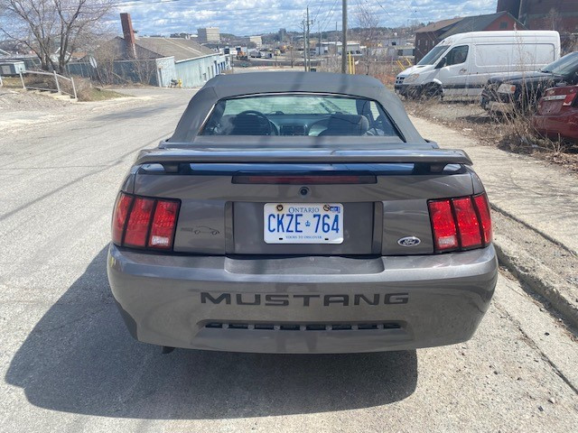 2004 Mustang convertible for sale in Cars & Trucks in Sudbury - Image 3