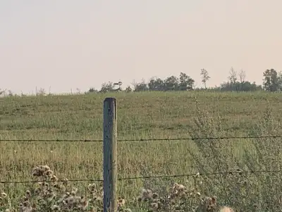 Looking to rent pasture in Lamont county or Strathcona county. 40-160 acres would be ideal. I will c...