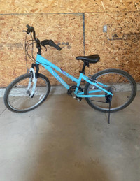 Dawn Genesis 24” Mountian Bike $175
