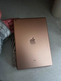 Rose gold iPad + accessories