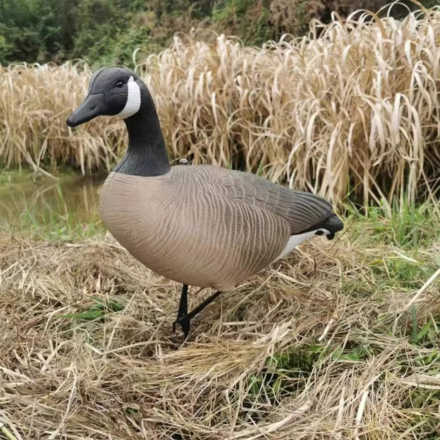 Soft Goose Decoys For Hunting in Fishing, Camping & Outdoors in City of Toronto - Image 2