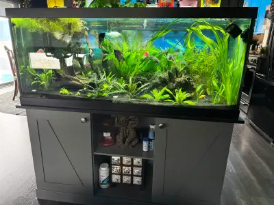 I'm selling my like new 75-gallon aquarium setup, complete with everything you need to create a thri...