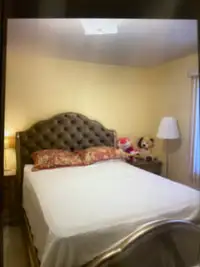 Large bedroom furnished near York university 