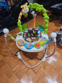 Fisher-Price Jumperoo Baby Bouncer Activity Center