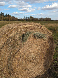 Round Hay Bales For Sale
