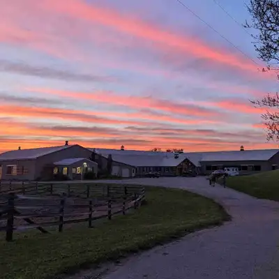 ISO Equestrian property for rent