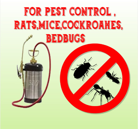 Pest Control, low price for Rats, mice, 226-341-9093 cockroach in Other in Hamilton - Image 4