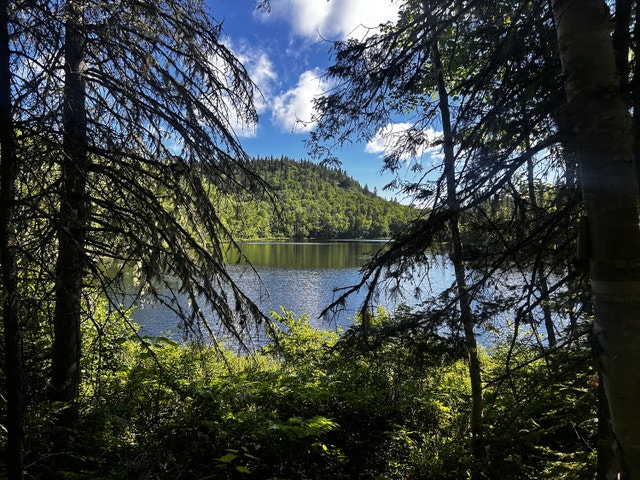 Votre domaine en pleine nature – 11,84 ha avec lac au Saguenay — photo 3