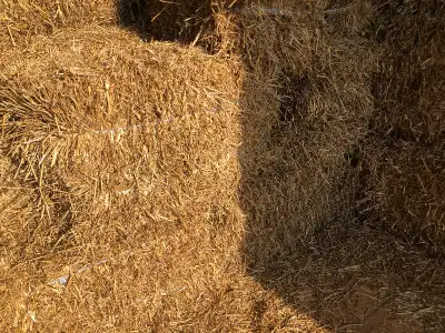 Straw Bales, View more