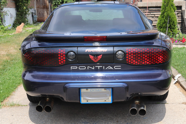 2002 PONTIAC FIREBIRD TRANS AM 5 SPEED MANUAL /T-ROOFS VINTAGE in Cars & Trucks in Mississauga / Peel Region - Image 4