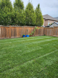 Sod installation 