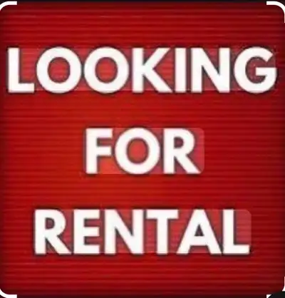 Business Seeking Long-Term Rental: 2–3 Bedroom House or Apartmen