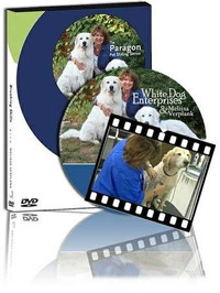 DVD toilettage « Pre-assessment Evaluation» par Melissa Verplank